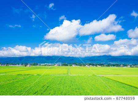 Shinshu Azumino農村風景在夏天 67748059