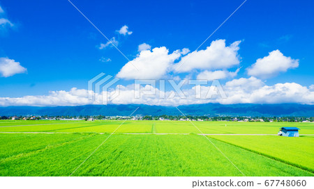 Summer Shinshu Azumino countryside wide 67748060