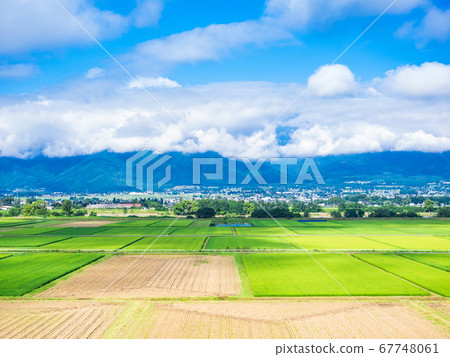 Shinshu Azumino農村風景在夏天 67748061