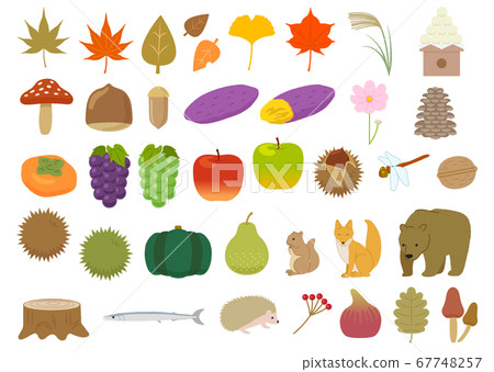 Autumn motif illustration material / vector Autumn motif illustration material / vector 67748257