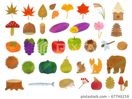Autumn motif illustration material / analog style Autumn motif illustration material / analog style 67748259