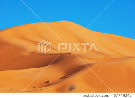 Sand desert Sand desert 67749242