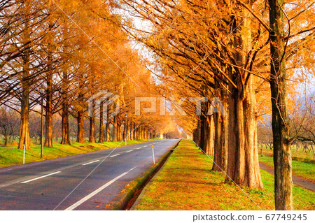 Makino town, Takashima city, Shiga prefecture 67749245