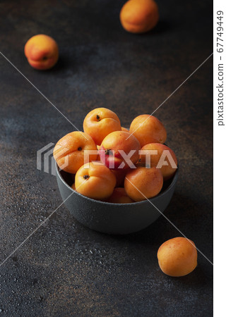 sweet apricots in a dark background 67749449