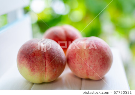 桃子射擊 67750551