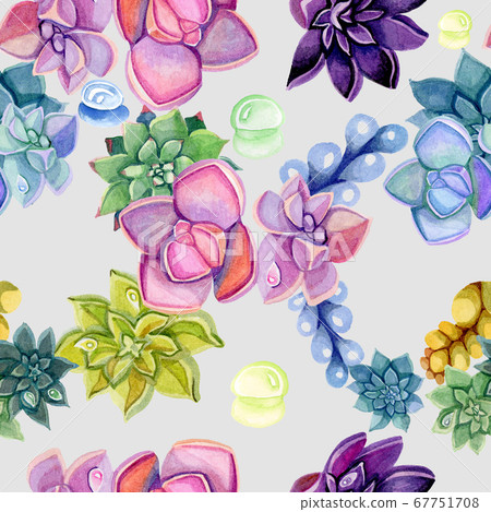 Seamless pattern of botanical watercolor succulent Seamless pattern of botanical watercolor succulent 67751708