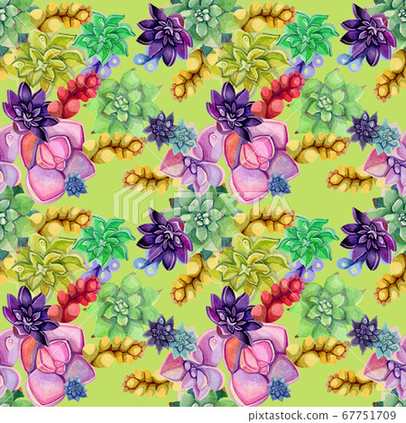 Seamless pattern of botanical watercolor succulent Seamless pattern of botanical watercolor succulent 67751709
