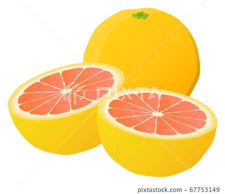 粉紅葡萄柚 粉紅葡萄柚 67753149