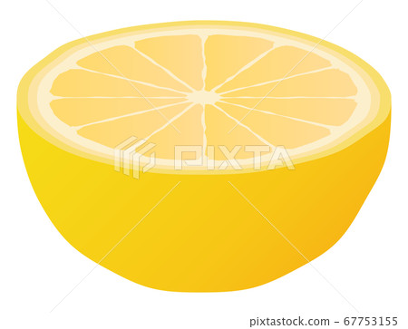 Grapefruit cut in half 67753155
