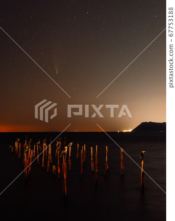 Comet C/2020 NEOWISE at night star sky with sea, birds and city lights 67753188