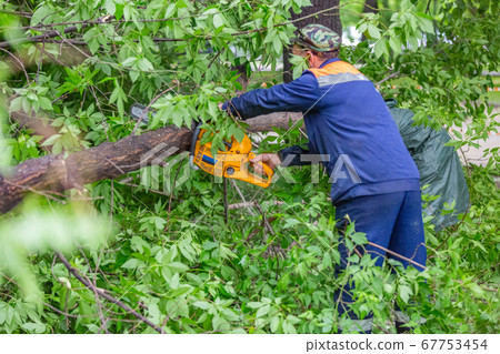 Man in uniform sawing a tree with a chainsaw 67753454