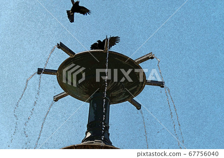 鶴舞公園的風景 67756040