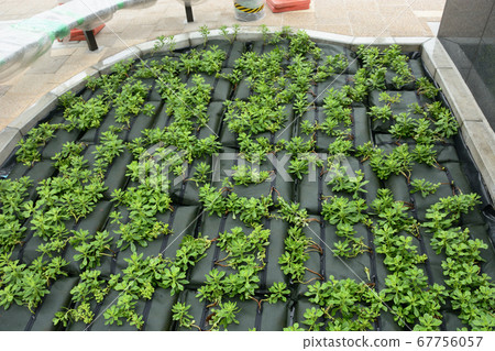 Vegetation sandbag with zipper Vegetation sandbag with zipper 67756057