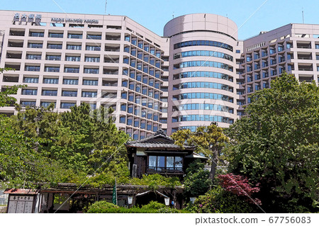 鶴舞公園的風景 67756083