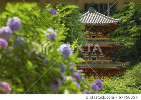 Triple tower and hydrangea seen from Iwafune Sanmon 67756357