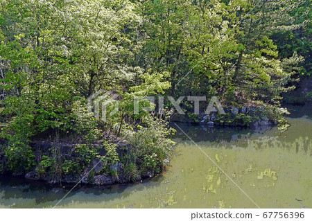 Kominato Green Park Overview Kominato Green Park Overview 67756396