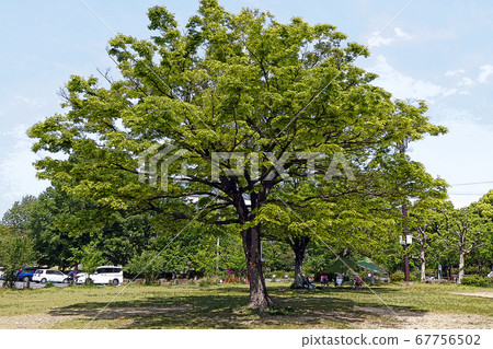 Kominato Green Park Overview Kominato Green Park Overview 67756502