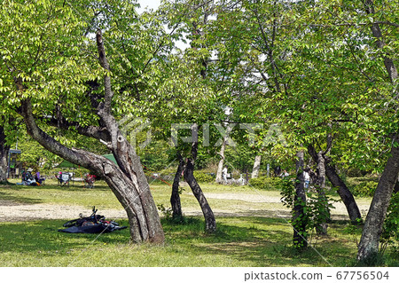 Kominato Green Park Overview 67756504