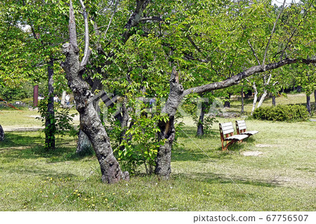 Kominato Green Park Overview Kominato Green Park Overview 67756507