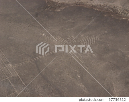 從天空看到的納斯卡蜂鳥 67756812