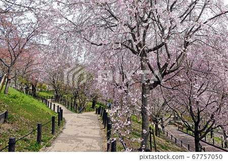 Higashiyama Zoo and Botanical Garden 67757050