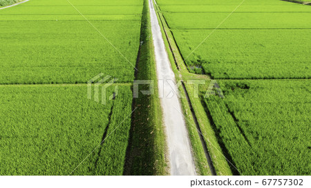 [Countryside scenery] Farm road seen from the sky-Mie 67757302