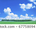 Meadow and larch grove and sky 67758094