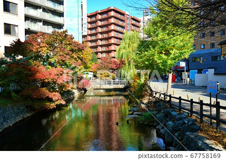 Kamo River Kamo River 67758169