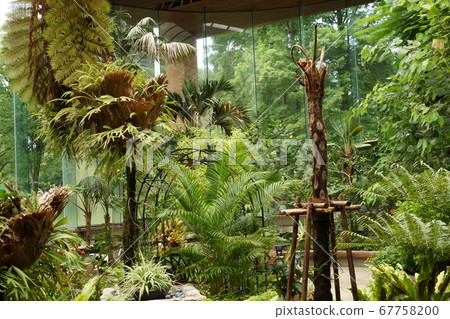 Greenhouse plant Greenhouse plant 67758200