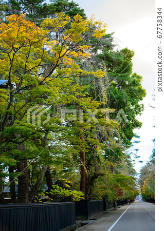 Kakunodate Scenery around the Samurai Residence Kakunodate Scenery around the Samurai Residence 67758344