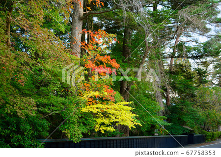 Kakunodate Scenery around the Samurai Residence Kakunodate Scenery around the Samurai Residence 67758353