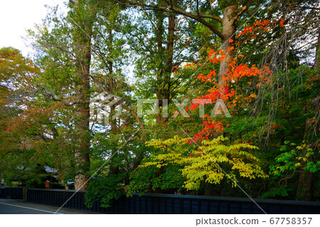 Kakunodate Scenery around the Samurai Residence Kakunodate Scenery around the Samurai Residence 67758357