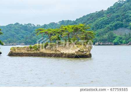View of Matsushima, one of the Three Views of Japan Whale Island (Tsushima) Matsushima Town, Miyagi Prefecture 67759385