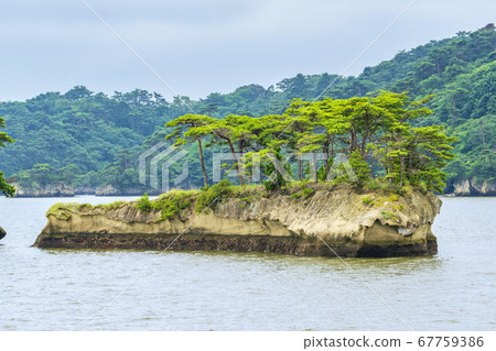 宮城縣日本鯨島（津島）松島町的三大景觀之一的松島景觀 67759386