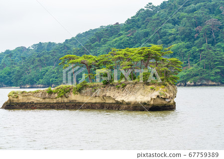 宮城縣日本鯨島（津島）松島町的三大景觀之一的松島景觀 67759389