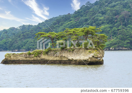 宮城縣日本鯨島（津島）松島町的三大景觀之一的松島景觀 67759396
