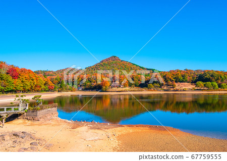 Autumn leaves of Arima Fuji Park Autumn leaves of Arima Fuji Park 67759555