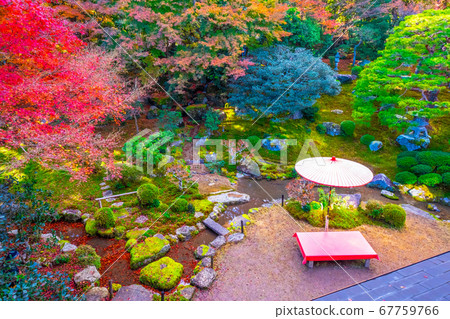 Former Bamboo-in Temple and field point umbrella of autumn colors Former Bamboo-in Temple and field point umbrella of autumn colors 67759766