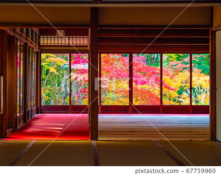 Autumn leaves at Tenzen-an in Kyoto Nanzenji Temple Autumn leaves at Tenzen-an in Kyoto Nanzenji Temple 67759960