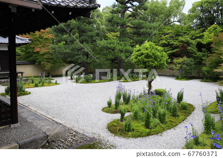 Lushan Temple flowers in full bloom in the garden Lushan Temple flowers in full bloom in the garden 67760371