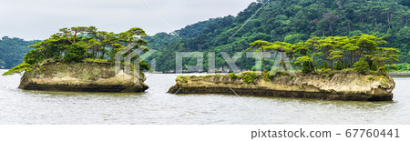 A view of Matsushima, one of the three most scenic spots in Japan Twin Islands (Whale Island/Kamejima) Matsushima Town, Miyagi Prefecture 67760441