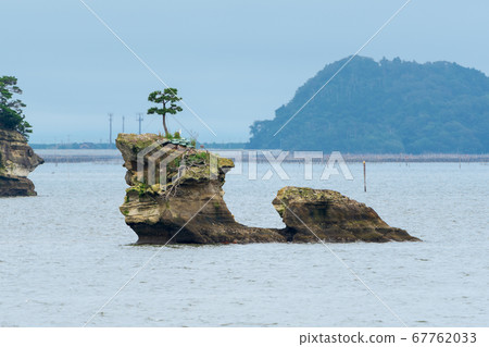 宮城縣松島町日本三大島之一的松島風景 67762033