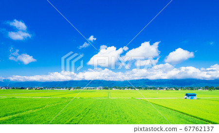Rural scenery of Shinshu Azumino in summer Rural scenery of Shinshu Azumino in summer 67762137