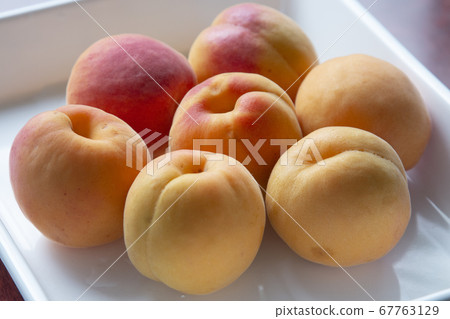 杏果實白色托盤上 67763129