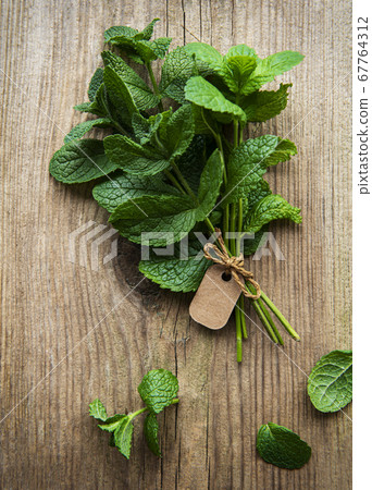 Fresh mint leaves Fresh mint leaves 67764312