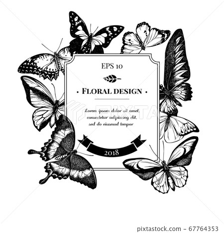 Badge design with black and white red lacewing, wallace's golden birdwing, purple spotted swallowtail, great orange-tip, emerald swallowtail, plain tiger, rajah brooke's birdwing, swallowtail 67764353