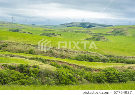 最遠的大豆山 67764927