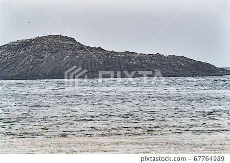 Okhotsk Sea 67764989