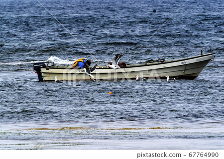 Seaweed fishing in the Sea of Okhotsk 67764990