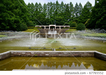 相模原公園 67765552
